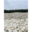 Sporen van Sobibor